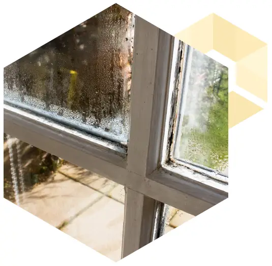 photo of a damaged window frame